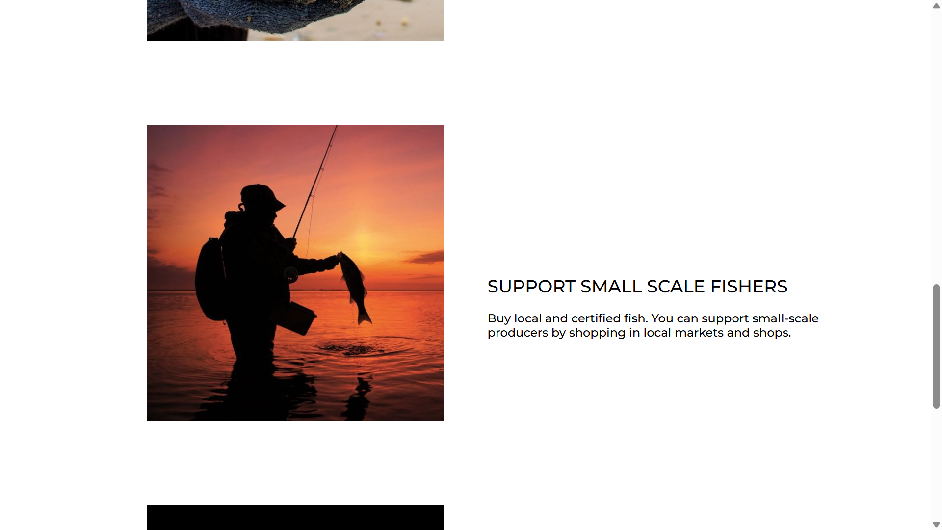 Project 1 Image 5